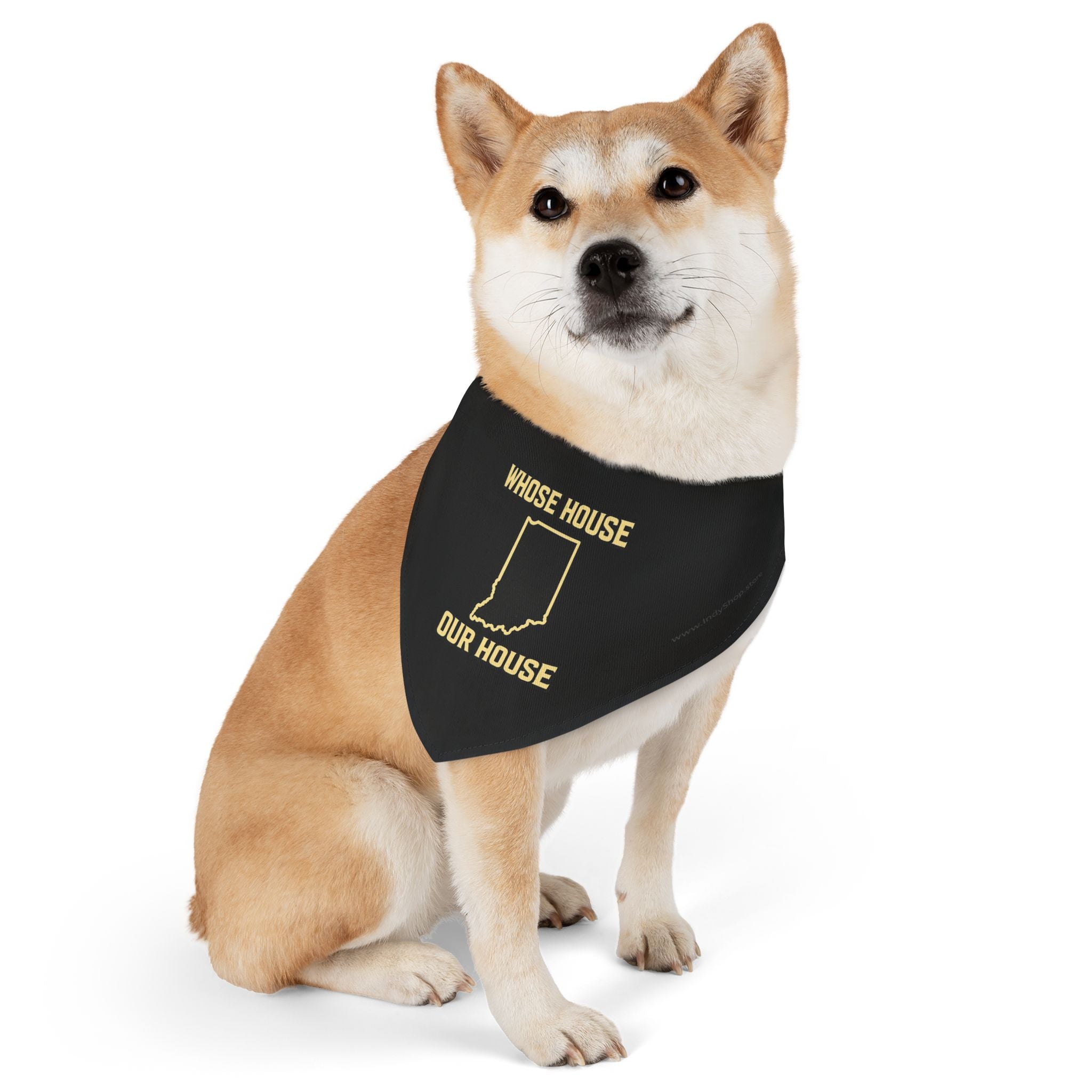 Whose House Our House Pet Bandana Collar — Dog & Cat Bandana Collar