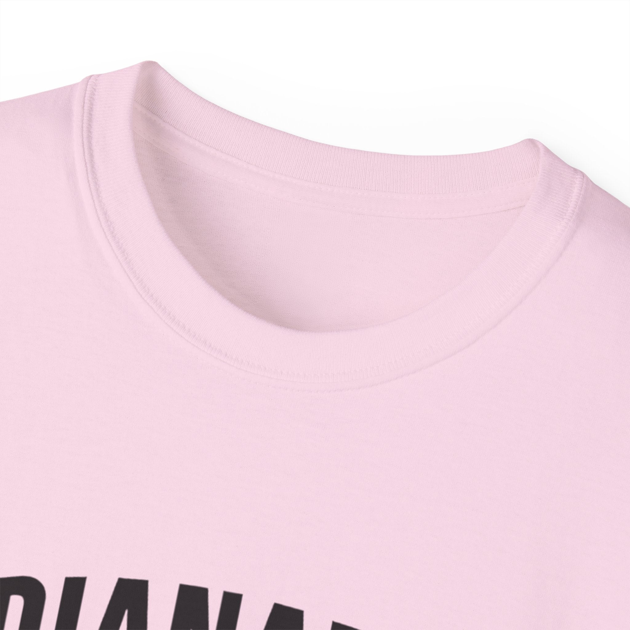 Indianapolis v Everybody | Black Lettering | Unisex Ultra Cotton Tee | Casual Wear, Gift for Hoosiers, State Pride, Travel Souvenir, Unique Local Apparel