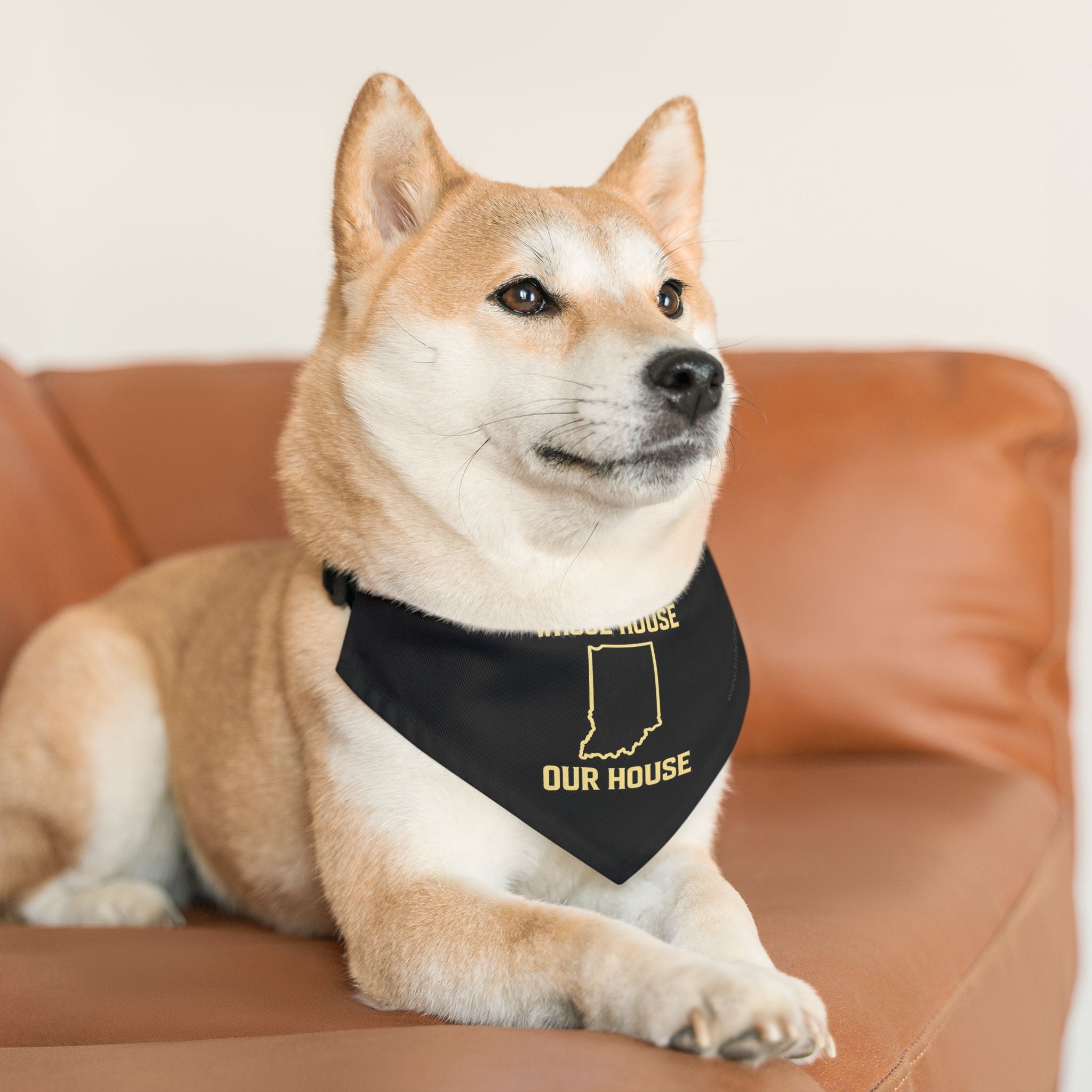 Whose House Our House Pet Bandana Collar — Dog & Cat Bandana Collar