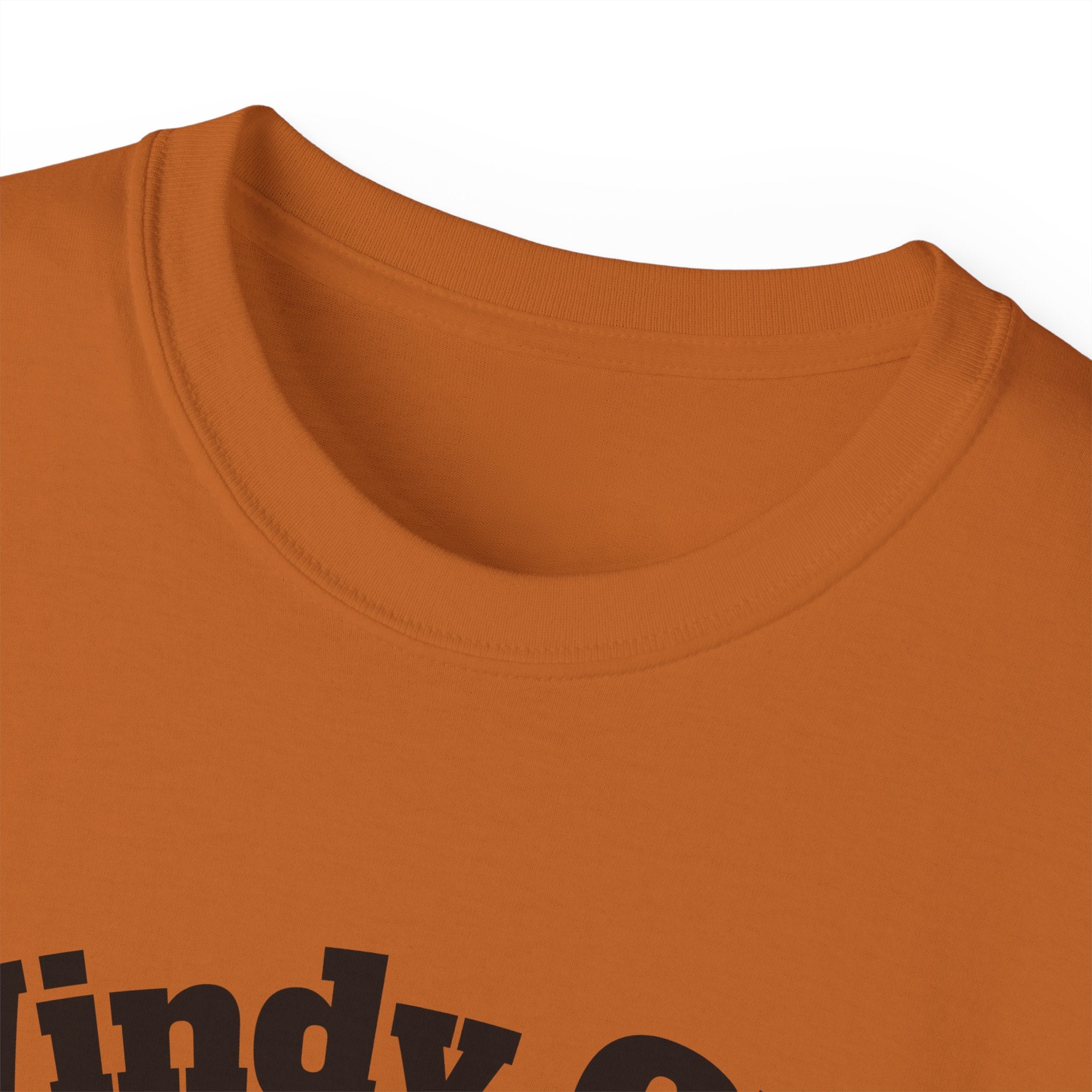Windy City Bear Running the Football Unisex T-Shirt | Chicago Bears