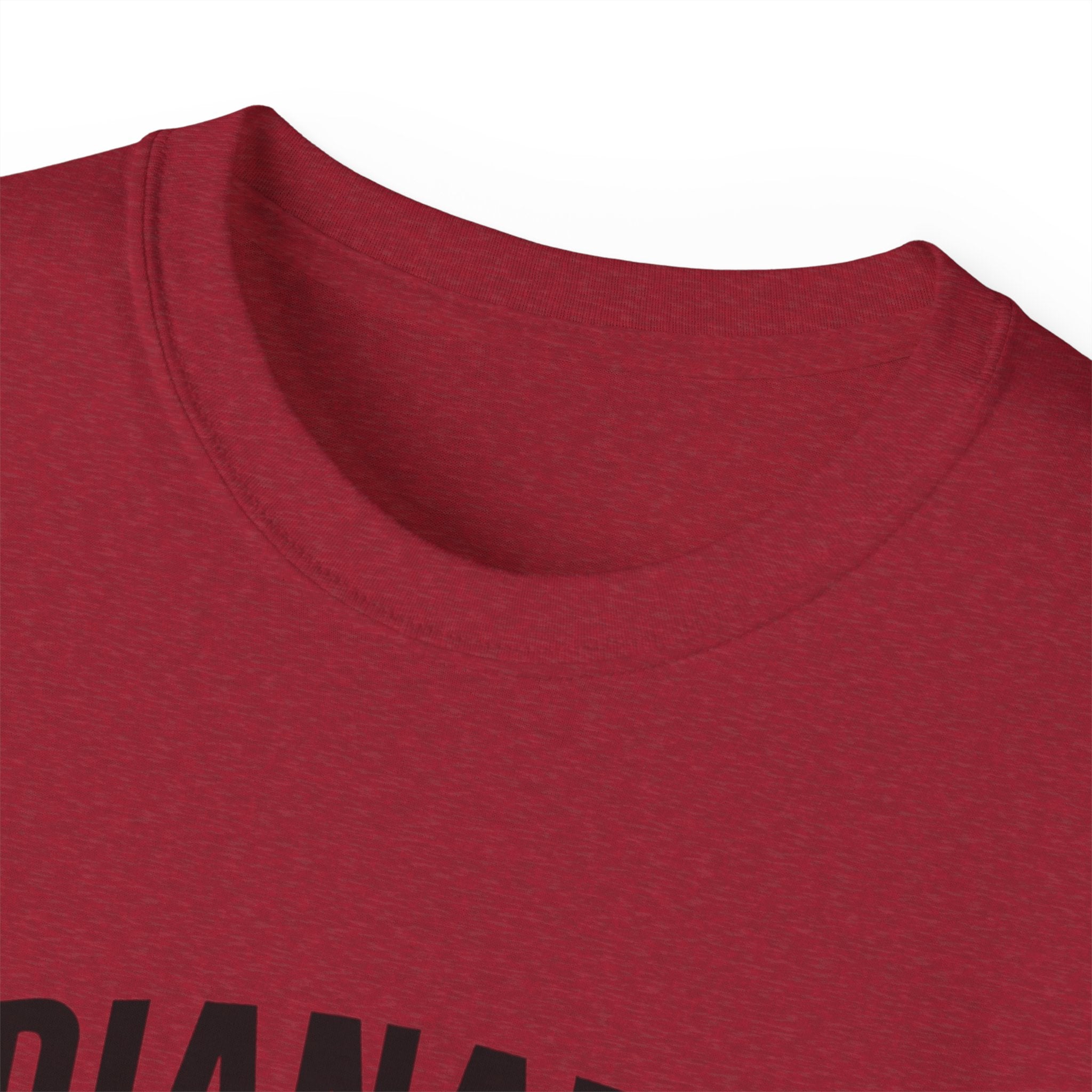 Indianapolis v Everybody | Black Lettering | Unisex Ultra Cotton Tee | Casual Wear, Gift for Hoosiers, State Pride, Travel Souvenir, Unique Local Apparel