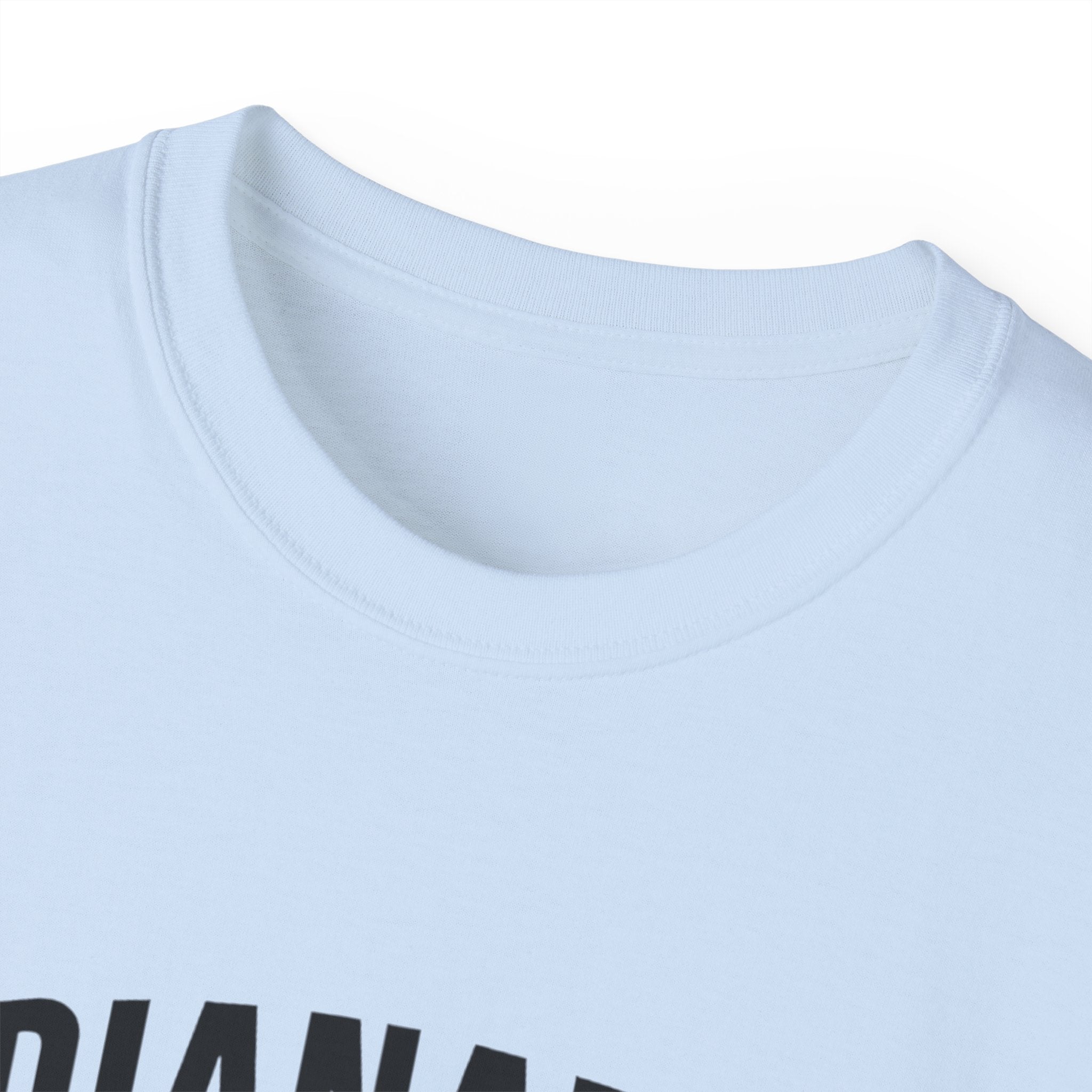 Indianapolis v Everybody | Black Lettering | Unisex Ultra Cotton Tee | Casual Wear, Gift for Hoosiers, State Pride, Travel Souvenir, Unique Local Apparel