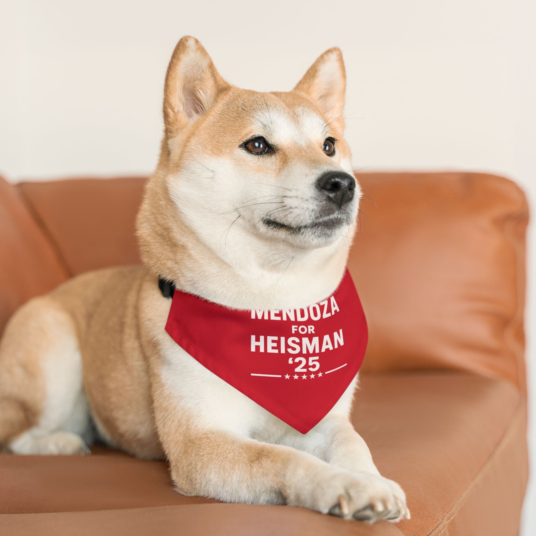 Mendoza for Heisman '25 Pet Bandana Collar — Dog & Cat Bandana Collar