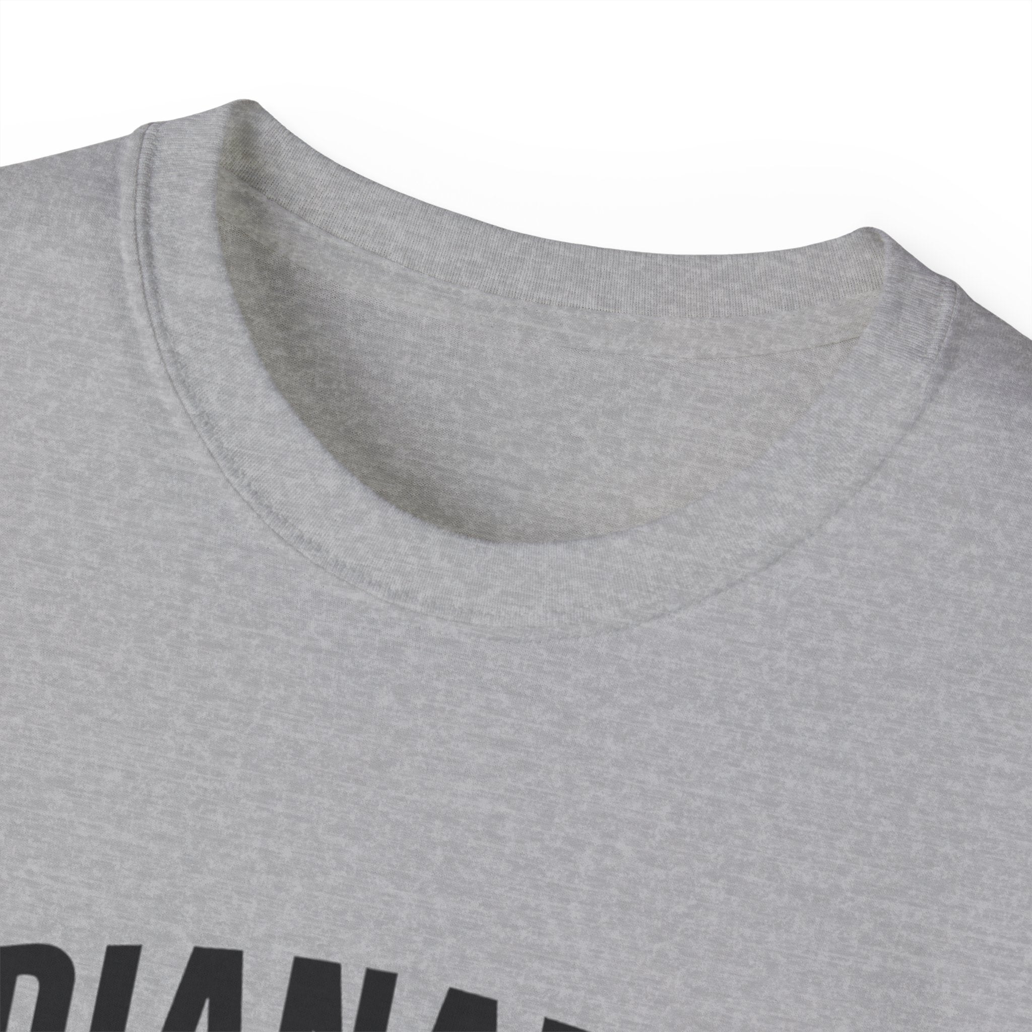 Indianapolis v Everybody | Black Lettering | Unisex Ultra Cotton Tee | Casual Wear, Gift for Hoosiers, State Pride, Travel Souvenir, Unique Local Apparel
