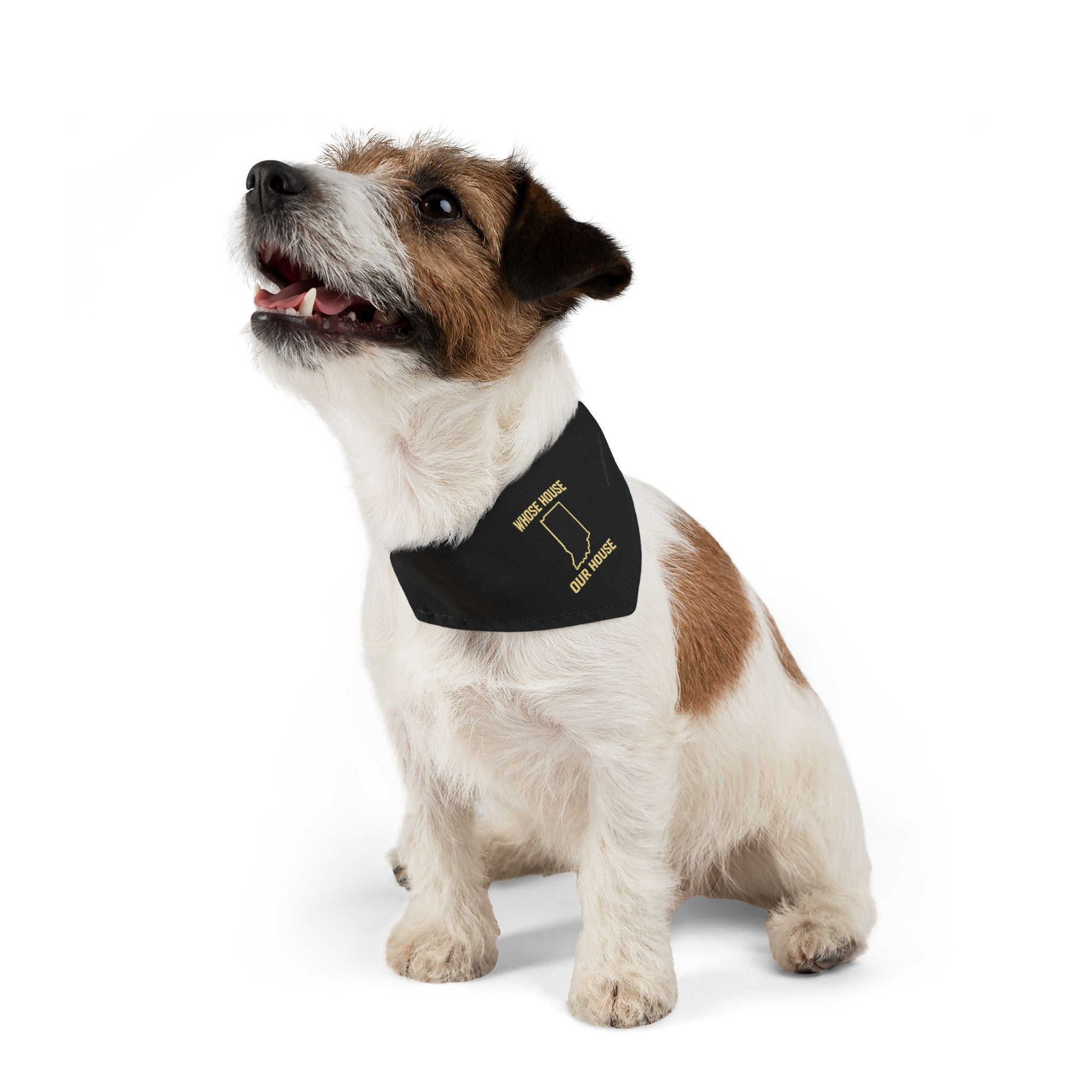 Whose House Our House Pet Bandana Collar — Dog & Cat Bandana Collar