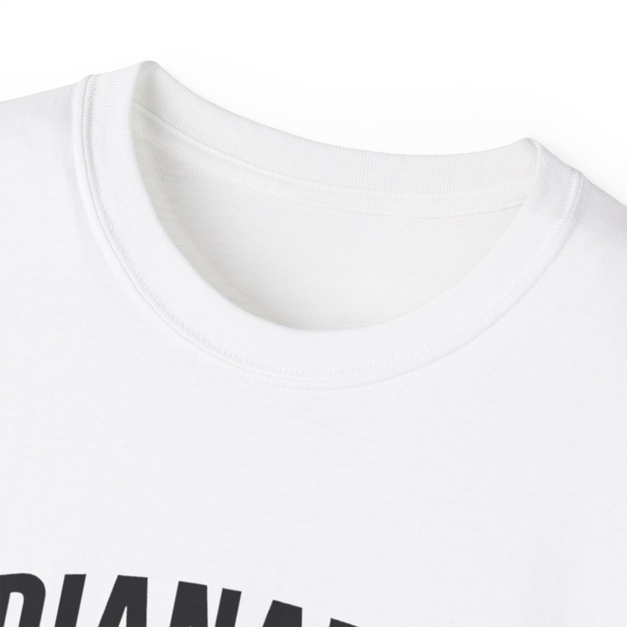 Indianapolis v Everybody | Black Lettering | Unisex Ultra Cotton Tee | Casual Wear, Gift for Hoosiers, State Pride, Travel Souvenir, Unique Local Apparel