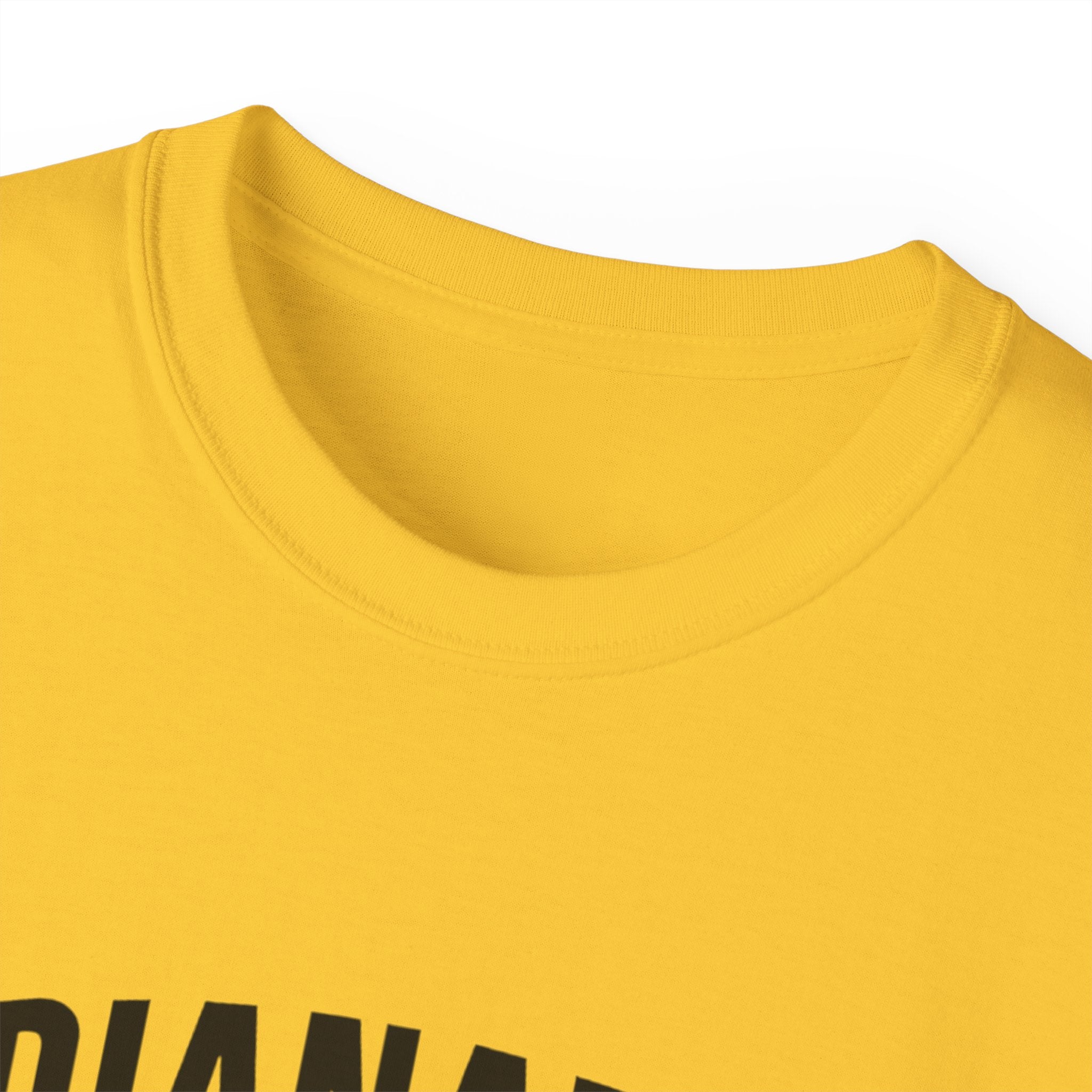 Indianapolis v Everybody | Black Lettering | Unisex Ultra Cotton Tee | Casual Wear, Gift for Hoosiers, State Pride, Travel Souvenir, Unique Local Apparel