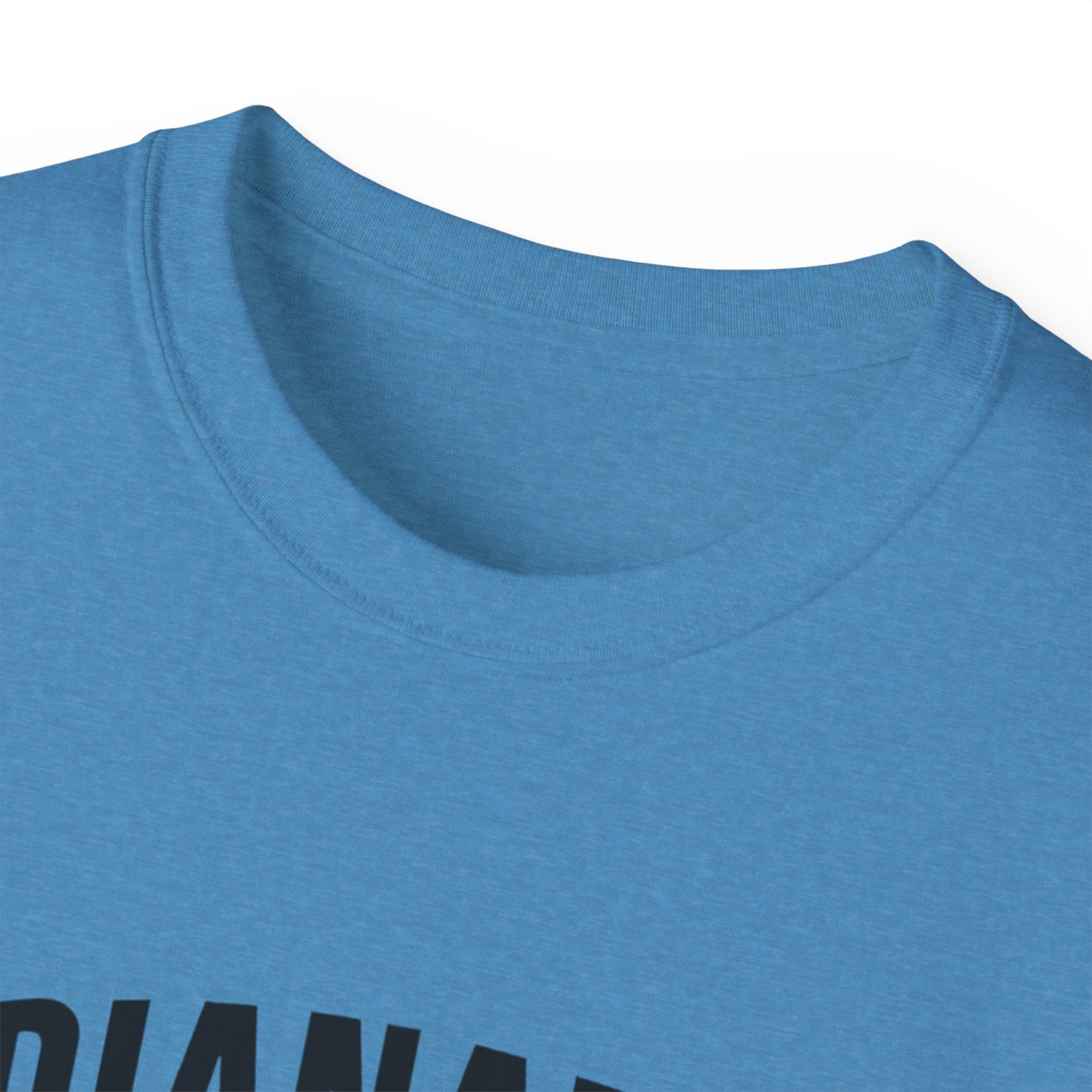 Indianapolis v Everybody | Black Lettering | Unisex Ultra Cotton Tee | Casual Wear, Gift for Hoosiers, State Pride, Travel Souvenir, Unique Local Apparel