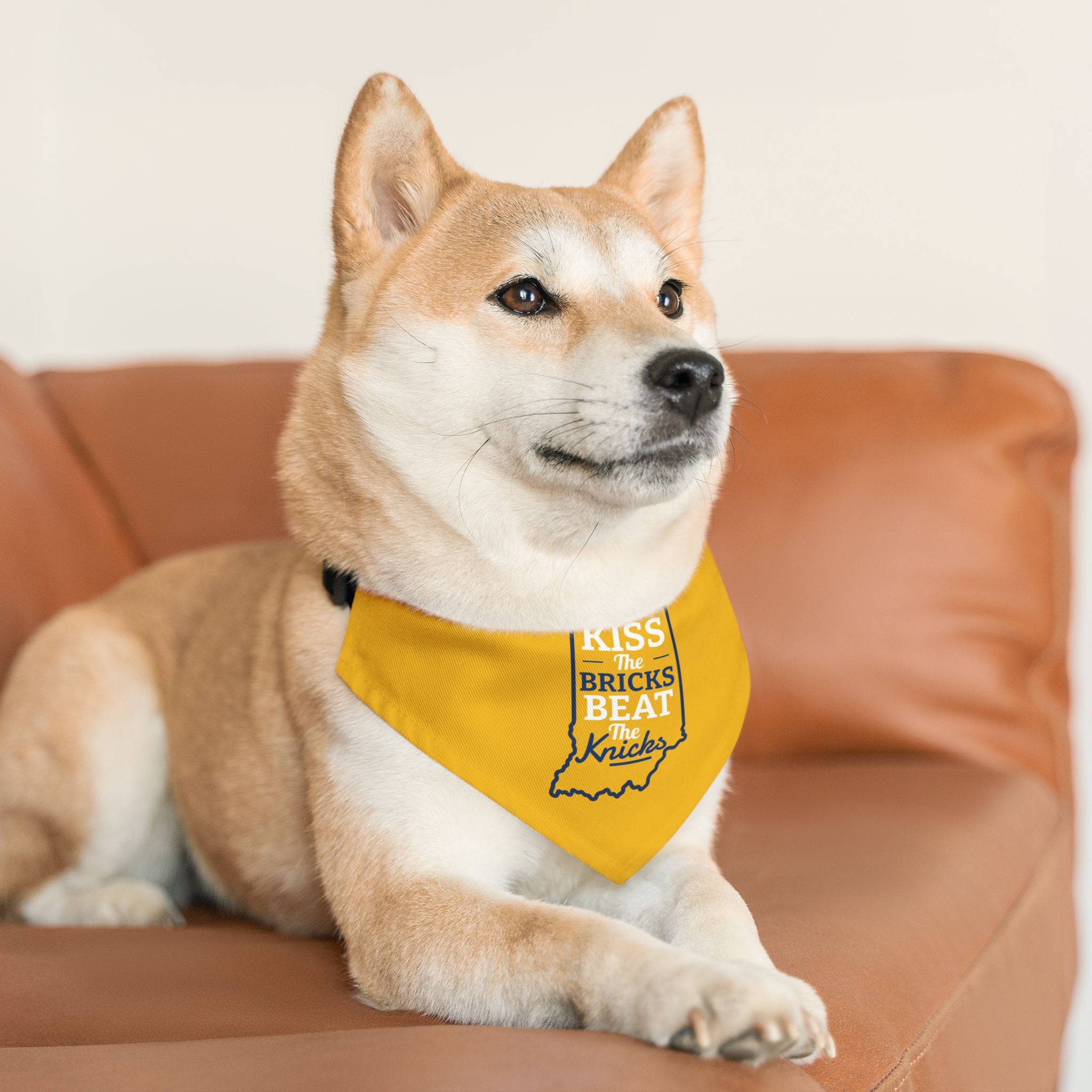 Kiss the Bricks Beat the Knicks Pet Bandana Collar — Indiana Yellow Dog Bandana Collar