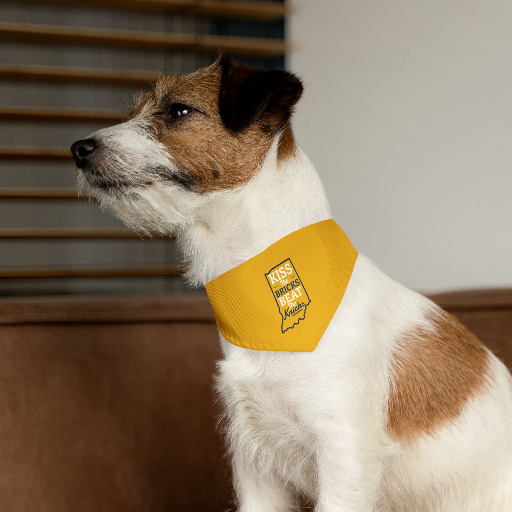 Kiss the Bricks Beat the Knicks Pet Bandana Collar — Indiana Yellow Dog Bandana Collar